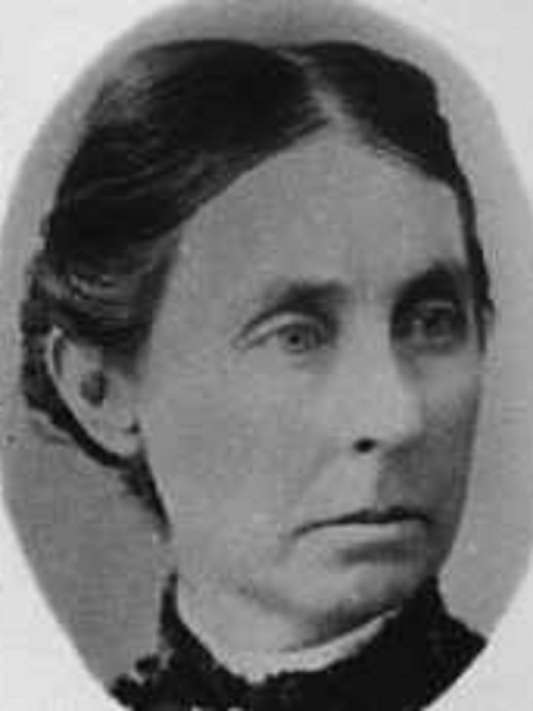 Sarah Knight (1840 - 1921) Profile